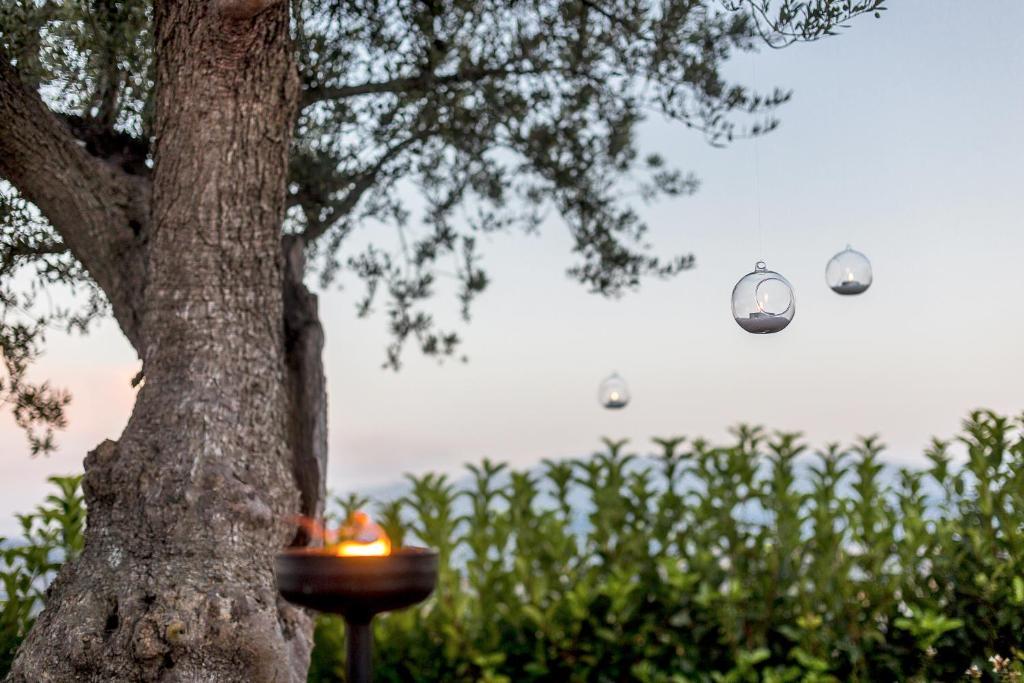 Casale Santa Maria Country House Mosciano Sant'Angelo Bagian luar foto